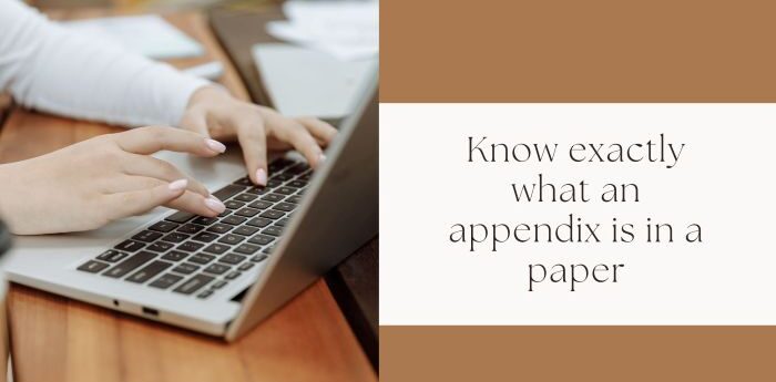 Know exactly what an appendix is in a paper