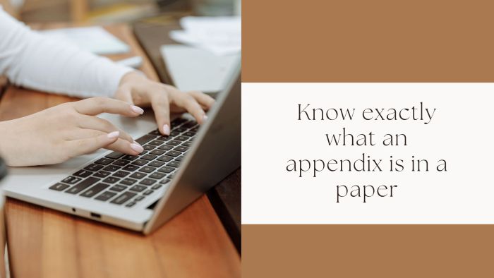 Know exactly what an appendix is in a paper